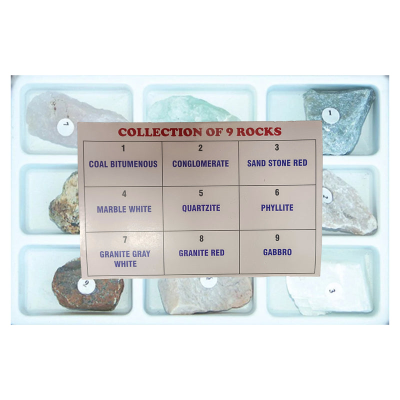 Collection of 9 Mineral Rocks