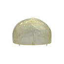Transparent Human Skull Model with Removable Skull Cap