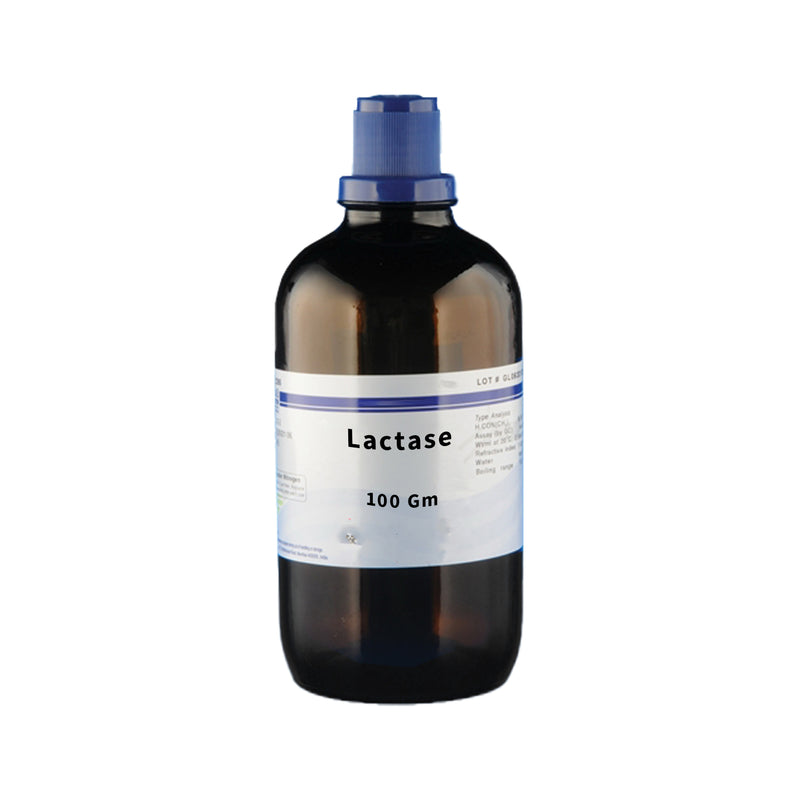 Lactase | 100g | Enzyme Powder for Laboratory Use