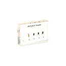 Housefly Life Cycle Specimen