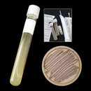 Live Bacillus subtilis Culture | Soil Isolate