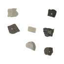 50 Pcs | Mineral Rock Specimen with Wooden Box