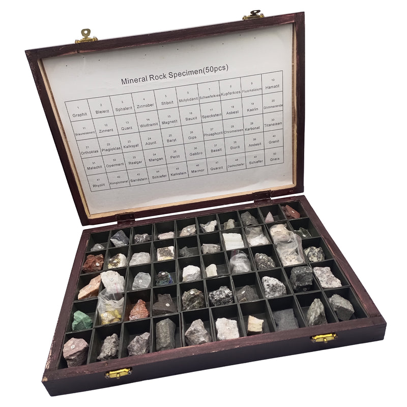50 Pcs | Mineral Rock Specimen with Wooden Box