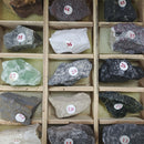56 Types of Mineral Samples | Wooden Box 41x24x4cm