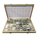 56 Types of Mineral Samples | Wooden Box 41x24x4cm