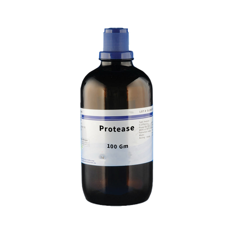 Protease | 100g | Enzyme Powder for Laboratory Use