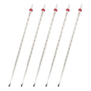 -110℃ to 110℃ Graduated Glass White Mercury Thermometer + Protective Case