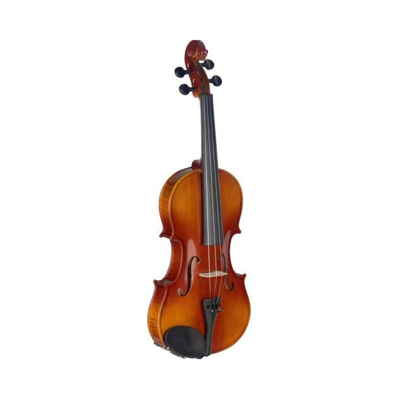 Stagg VN-4/4 L Violin