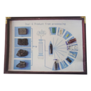 Sample of Coal & Processing