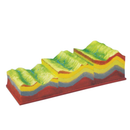 Model of Earth Shell Development