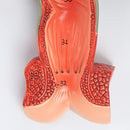 Digestive System Anatomy Model