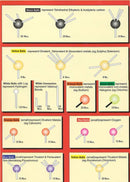 Ultimate Bulk Premium Molecular Model Set 555 Pcs