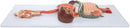 Digestive System Anatomy Model