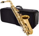 Griffin Deluxe Brass Saxophone Kit Gold Lacquer