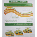 Earth Tectonics Poster