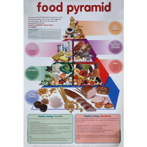 Food Pyramid Chart