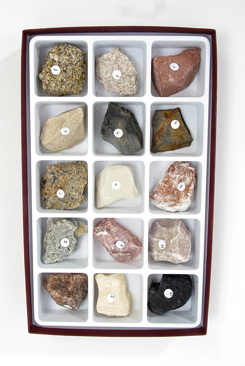 15 Piece Sedimentary Rock Collection