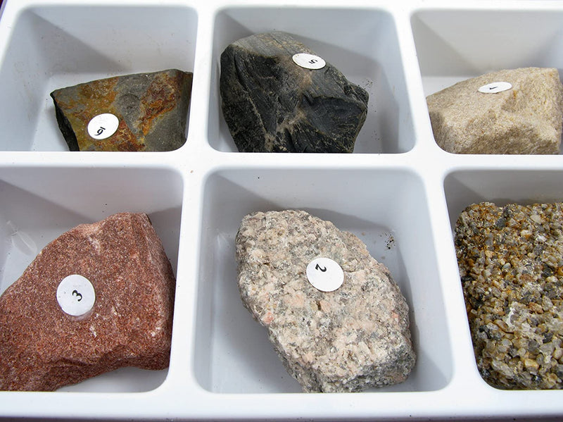 15 Piece Sedimentary Rock Collection