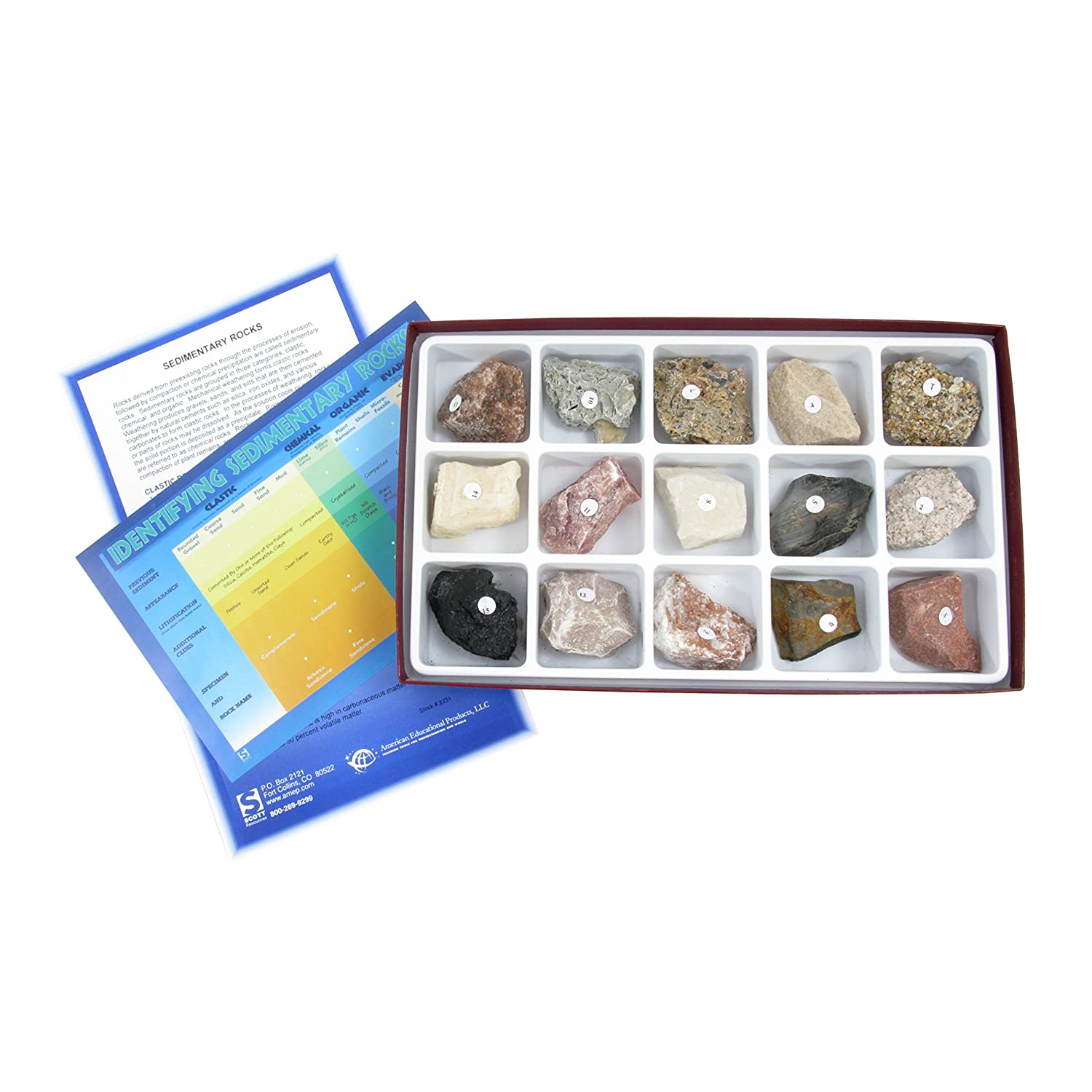 Collection Of Sedimentary Rocks 15 Piece Sedimentary Rock Collection