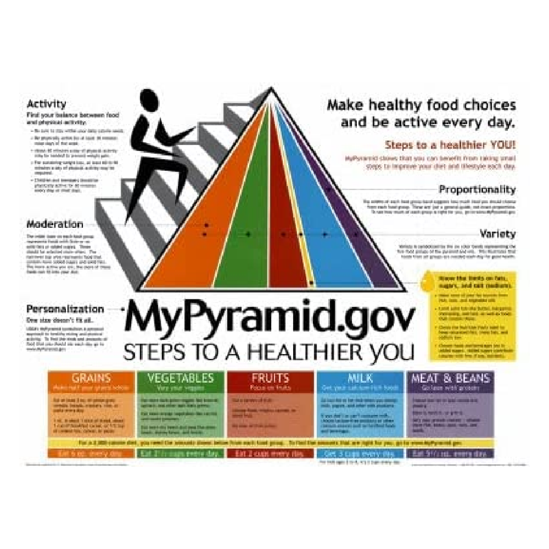 MyPyramid Chart