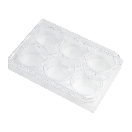 Tissue Culture Plate with Cover, 6 Holes, 12 Holes