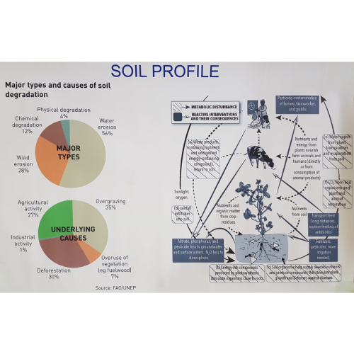 Soil Profile Poster