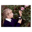 Set of 2 Pooter Bug Catcher Kit