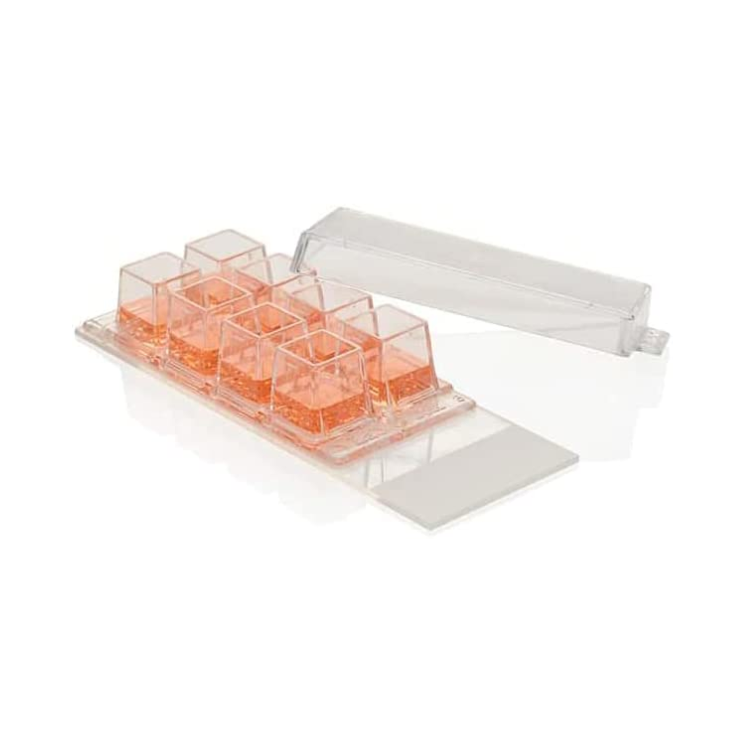 Sterile Clear Nunc LabTek 8 Well Chamber Slide System