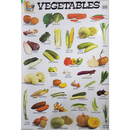 Vegetables Poster