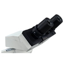 Biological Video/Digital Microscope