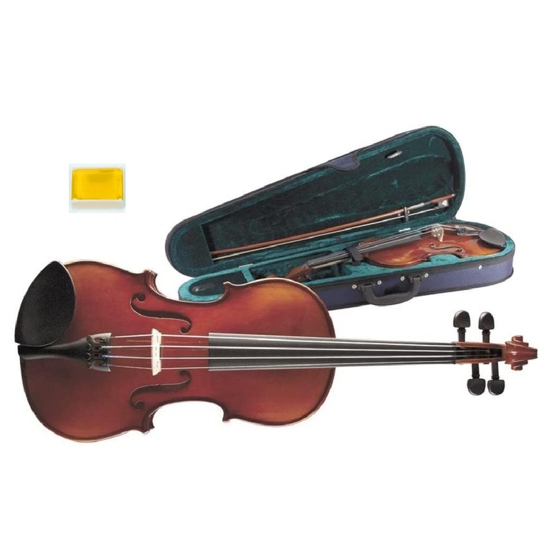 Deluxe Classical Natural Gloss Wooden Violin Set